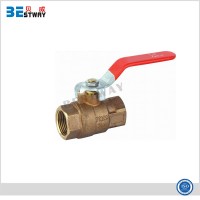 Hot Sale Bronze Ball Valve Producer